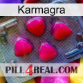 Karmagra 13